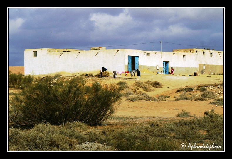200 Tamerza, maisons de campagne